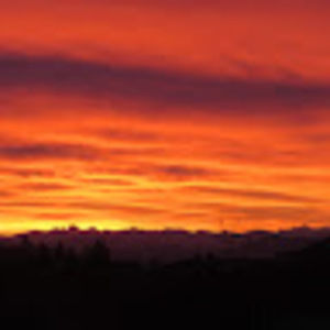 Meet your Posher, Hilary